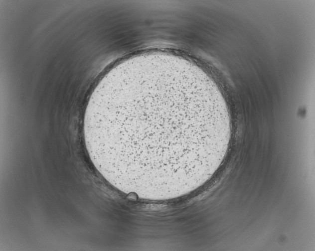 X0000116781313201001281646