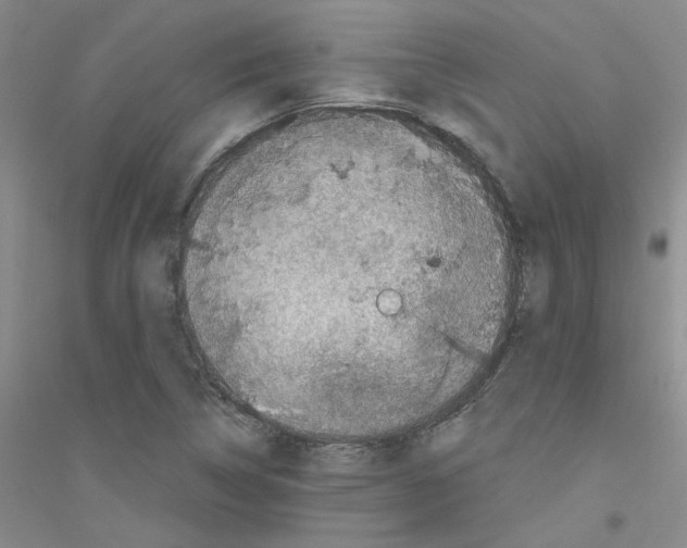 X0000116781314201001281646