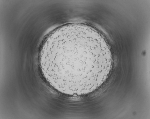 X0000116781315201001281646