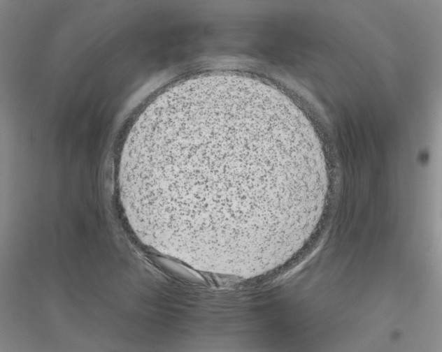 X0000116781317201001281646