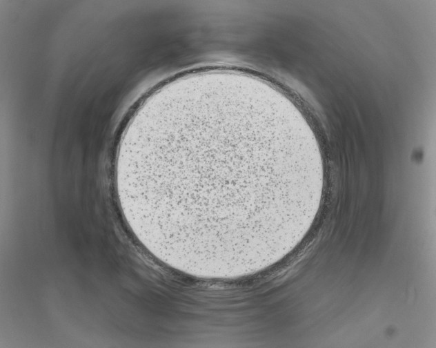 X0000116781318201001281646