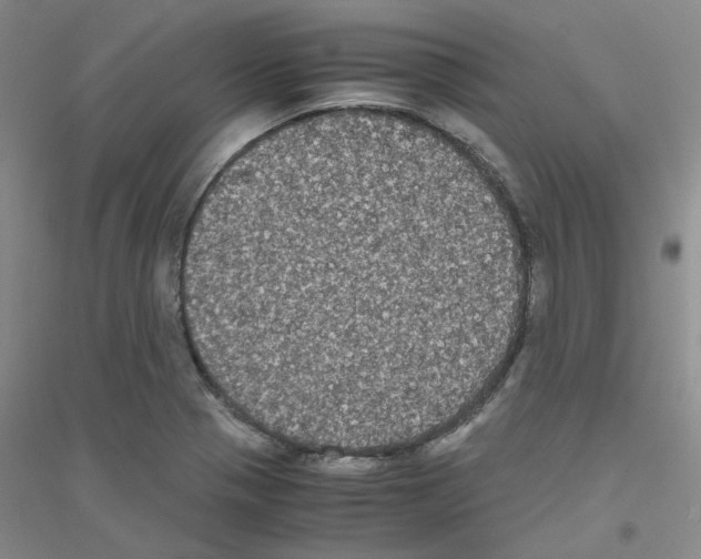 X0000116781321201001281646