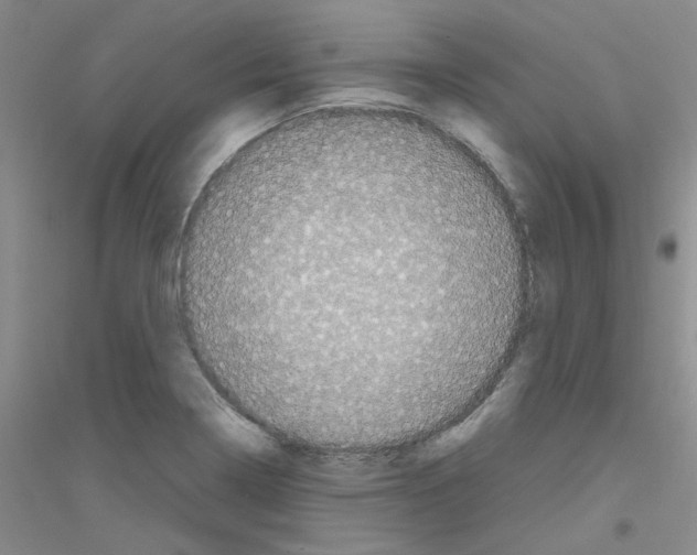 X0000116781322201001281646