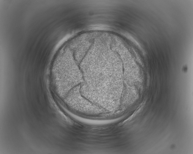 X0000116781325201001281646