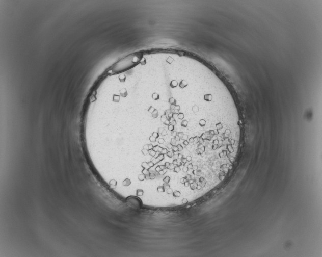 X0000116781326201001281646