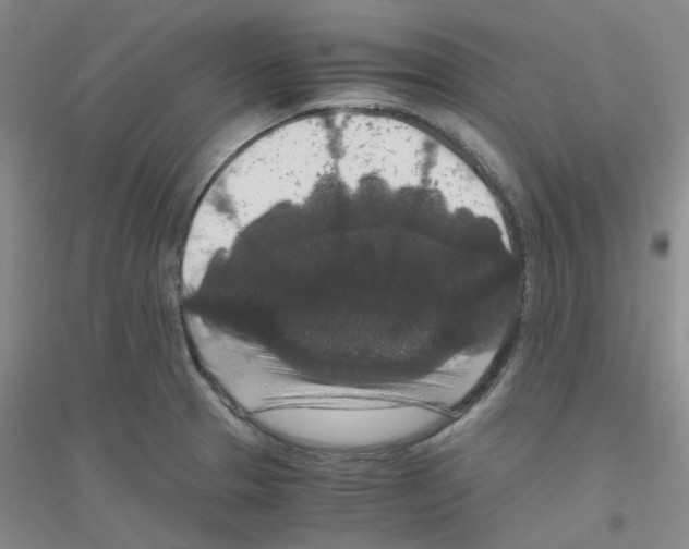 X0000116781329201001281646