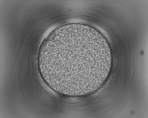 X0000116781330201001281646