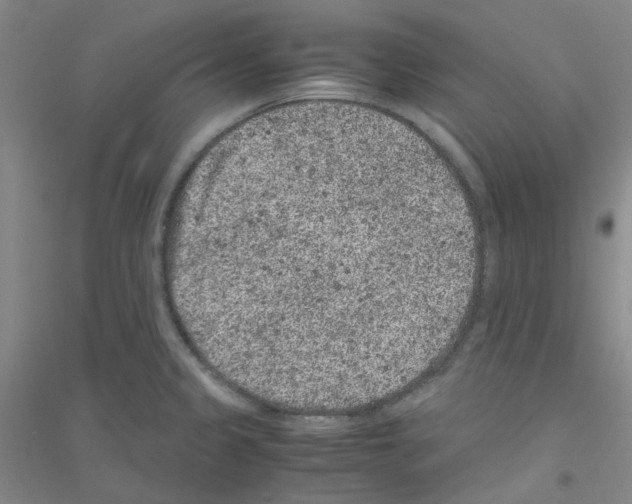 X0000116781333201001281646