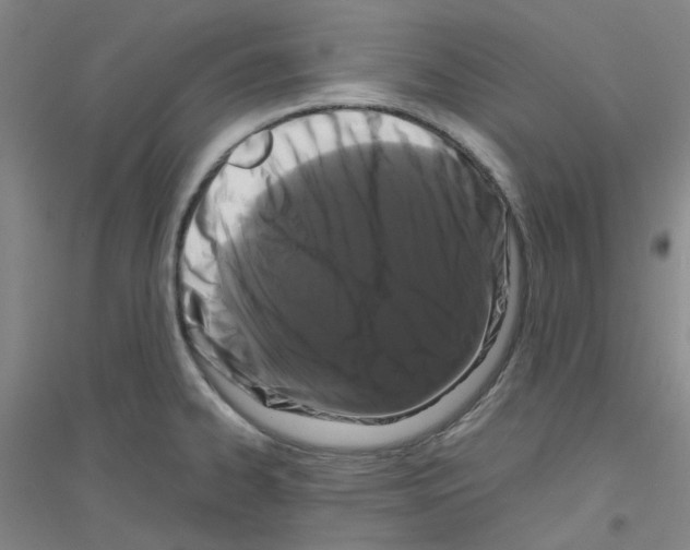 X0000116781334201001281646