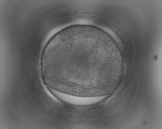 X0000116781335201001281646