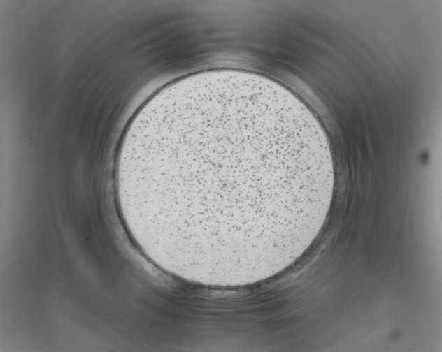 X0000116781339201001281646