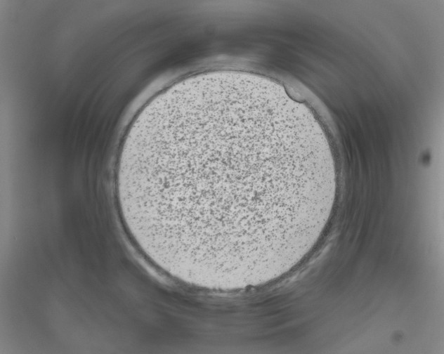 X0000116781341201001281646