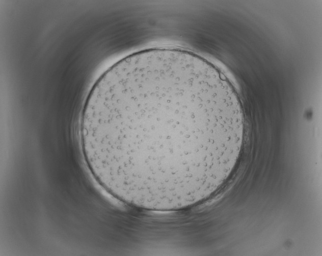 X0000116781343201001281646