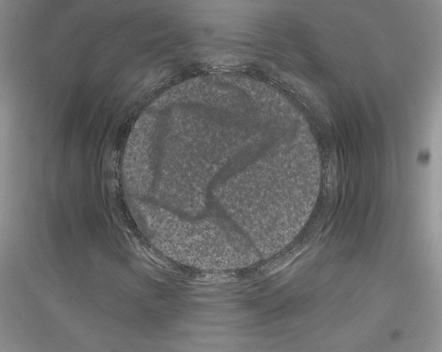 X0000116781346201001281645