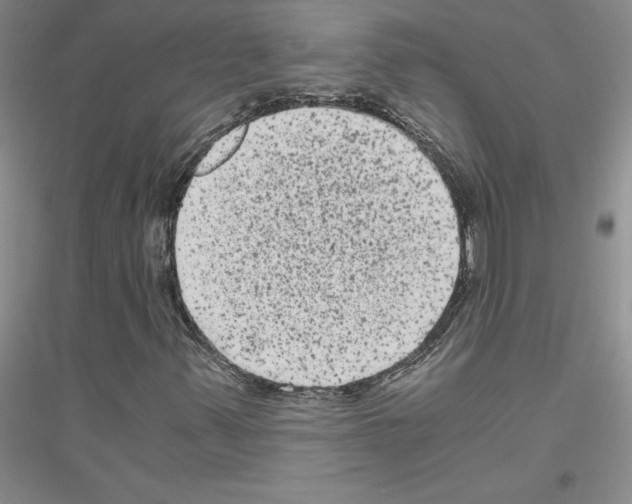 X0000116781347201001281645