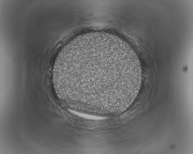 X0000116781349201001281645