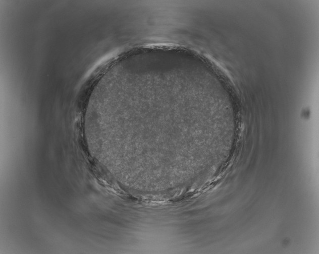 X0000116781351201001281645