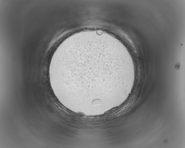 X0000116781352201001281645