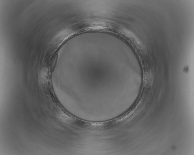 X0000116781353201001281645