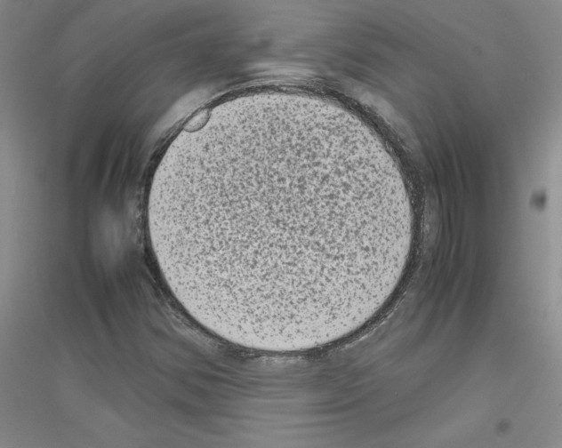 X0000116781354201001281645