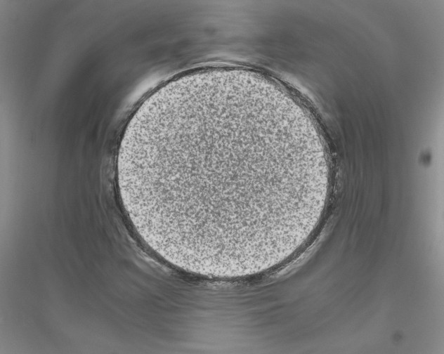 X0000116781355201001281645