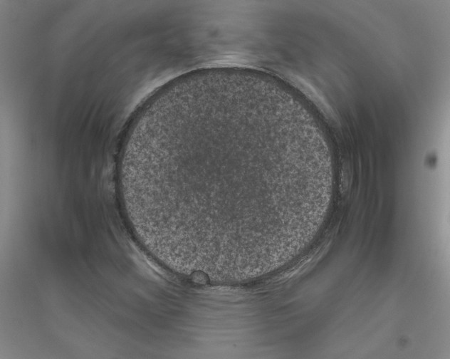 X0000116781356201001281645