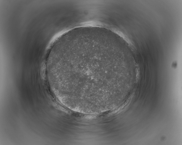 X0000116781358201001281645