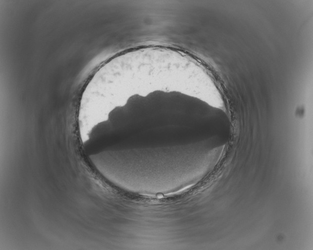 X0000116781359201001281645