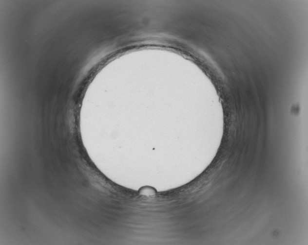 X0000116781360201001281645