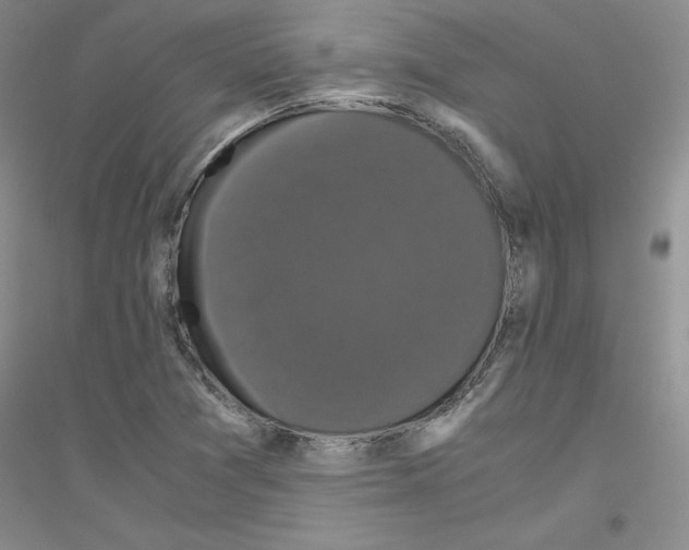 X0000116781361201001281645