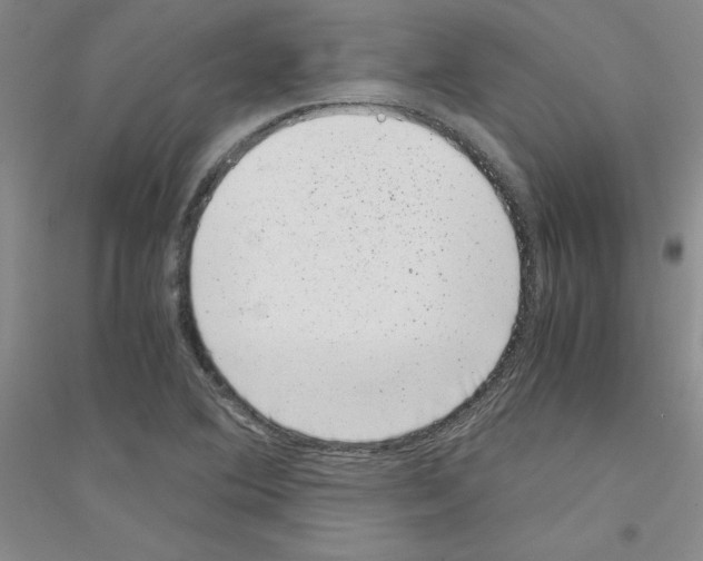 X0000116781364201001281645