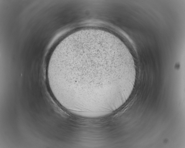 X0000116781368201001281645