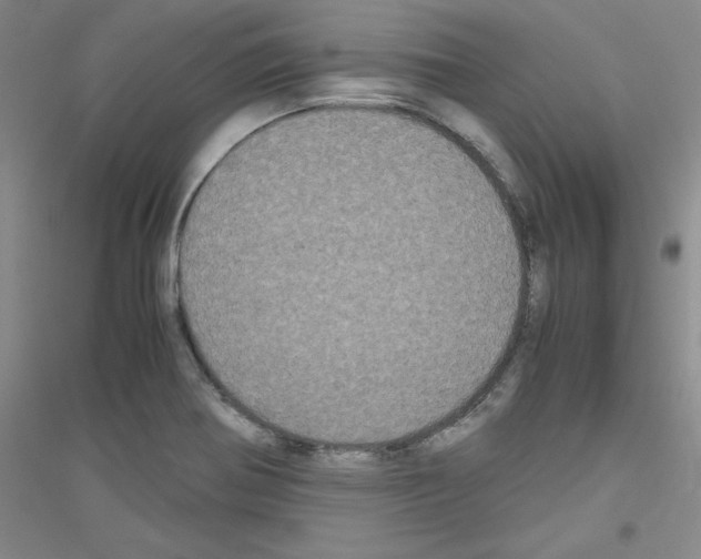 X0000116781370201001281645