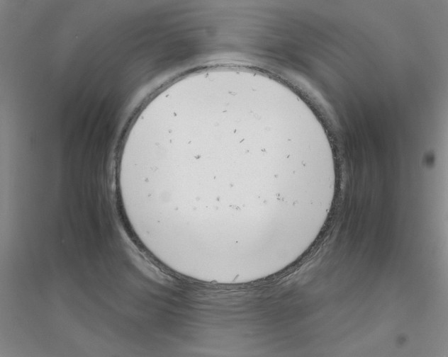 X0000116781372201001281645