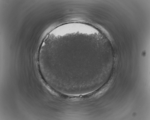 X0000116781373201001281645