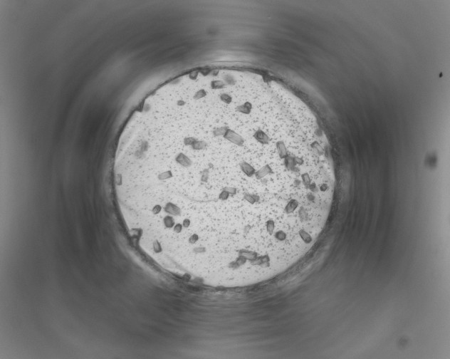 X0000116781374201001281645