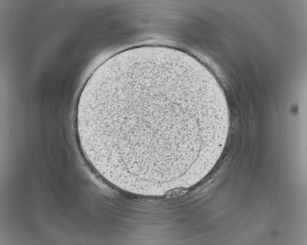 X0000116781375201001281645