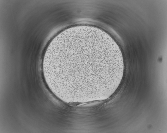 X0000116781376201001281645