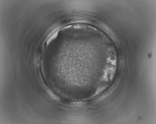 X0000116781377201001281645