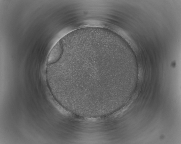 X0000116781378201001281645