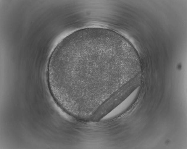 X0000116781379201001281645