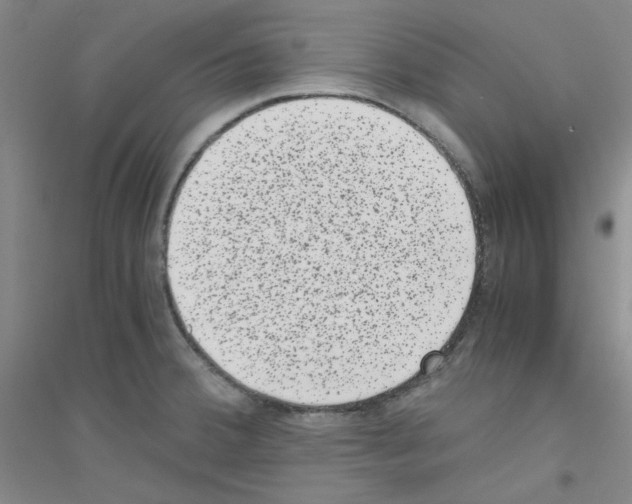 X0000116781380201001281645