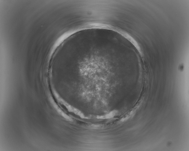 X0000116781381201001281645