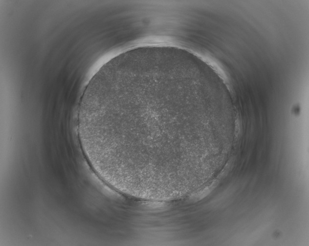 X0000116781382201001281645