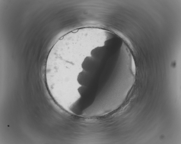 X0000116781383201001281645