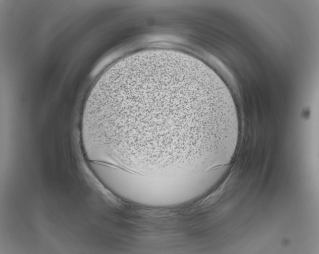 X0000116781384201001281645