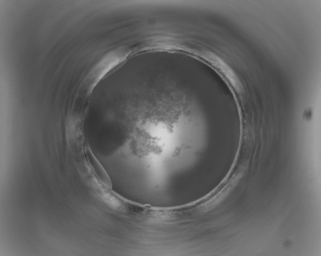 X0000116781385201001281645