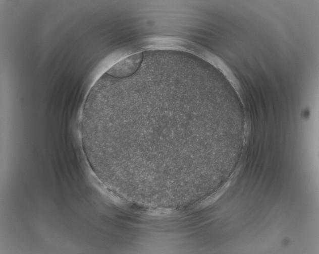 X0000116781386201001281645