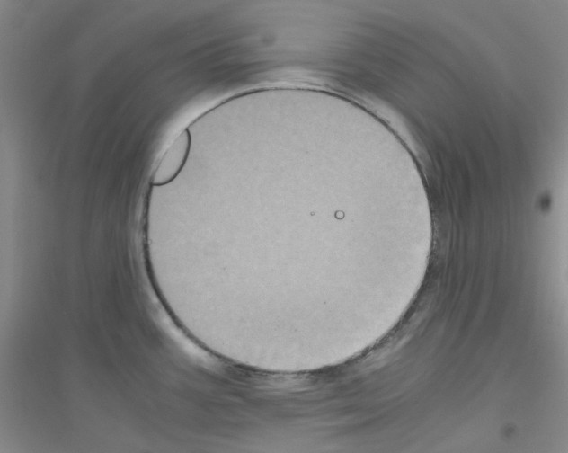 X0000116781387201001281645