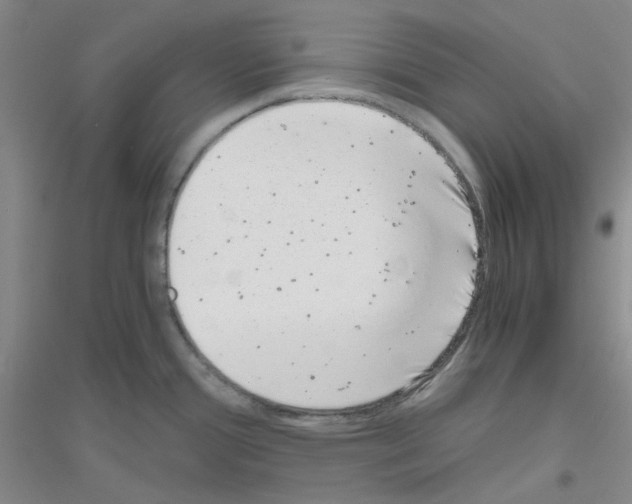 X0000116781388201001281645